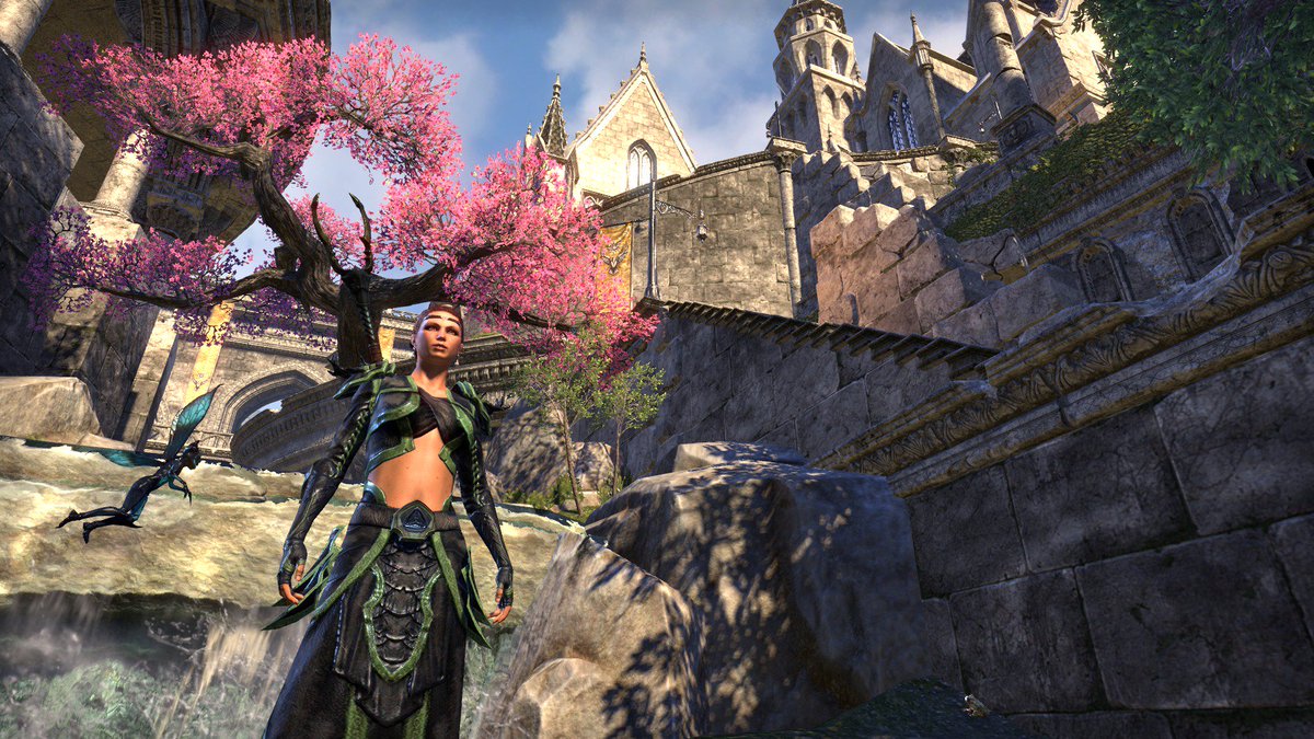 armysweetpea's tweet photo. My girl #Ferilith hanging about in Alinor. @TESOnline @ThaBeardedBlarg #PeaPodLove #EbonHeart #addicted https://t.co/4lDG7lGFuZ