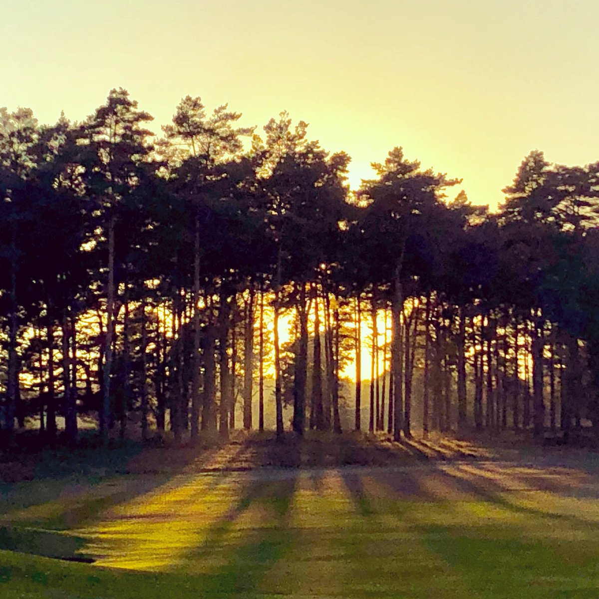 grahamhodgkin's tweet photo. Stunning day at #Sunningdale Old Course in support of @LDNairamb. Great to see so many friends. Oh & nice to win the team prize too... #nothankstome https://t.co/NsKUYCPJ1w