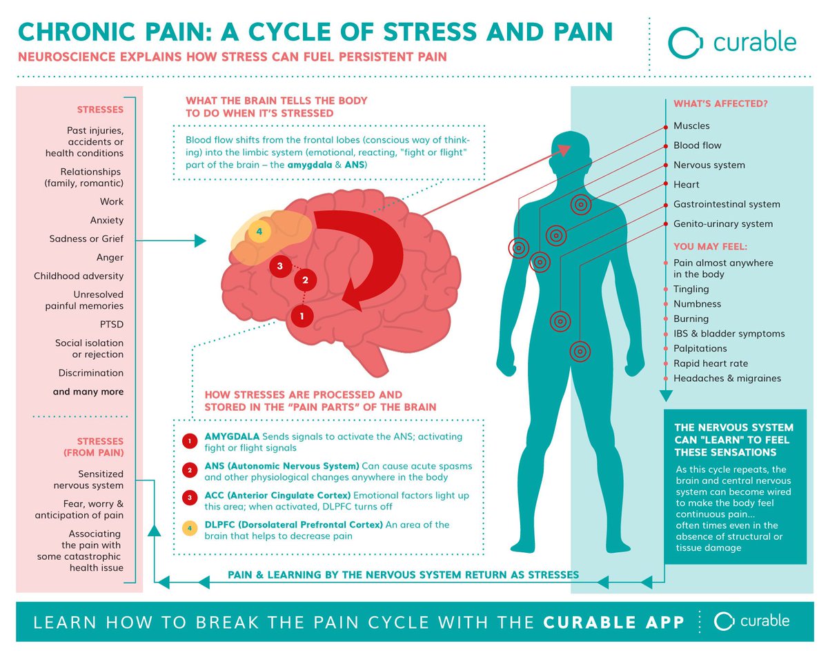 curablehealth's tweet photo. Chronic, stress-related pain... How does it become, well, chronic? We did our best to explain the pain cycle below.

If you think this could help someone, please share!

To learn how to break the pain cycle, head to https://t.co/PrbCqF1URi. #chronicpain #curableapp https://t.co/793METWenF
