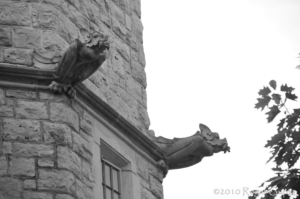 VTLibraries's tweet photo. Gargoyles are not just ornamental, they have a purpose. Gargoyles are waterspouts that move water from the gutters on the roof away from the building. But, not all of them are TRUE gargoyles. Some are called grotesques, just decorations, like these perched on top of Smyth Hall.🦇 https://t.co/EWjKu2ZUy7