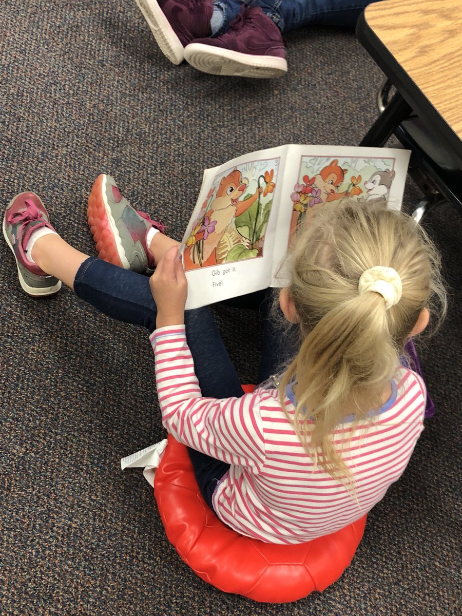 mrsbcarrigan's tweet photo. We got our independent reading baskets today!! Check out these awesome kiddos showing great reading procedures!! 👍🏼 @wmirvinelem #irvinignites #raisethebar https://t.co/Nj1JQt2Qhf