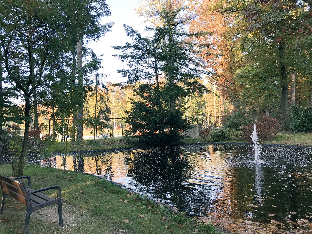 B_Rooijakkers's tweet image. Vandaag veel geleerd over ‘Verenigkunde’ door inspirerende spreker @brubingh en @HansvanEgdom van @back2basics11 en @LKCA_ bij de training procesbegeleiding verenigingsondersteuning voor culturele verenigingen op superlocatie @knvbcampus #inspiratie #kenniscentrum