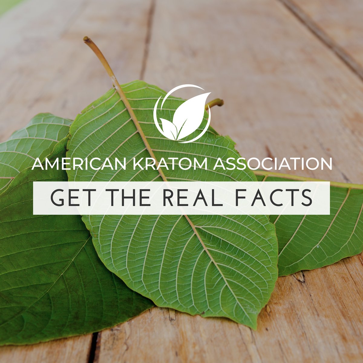 TheKratomAssn's tweet image. SHARE with your friends! The lies surrounding Kratom have zero scientific evidence.  It's time for the FDA to follow the SCIENCE. #FollowTheScience #KeepKratomLegal