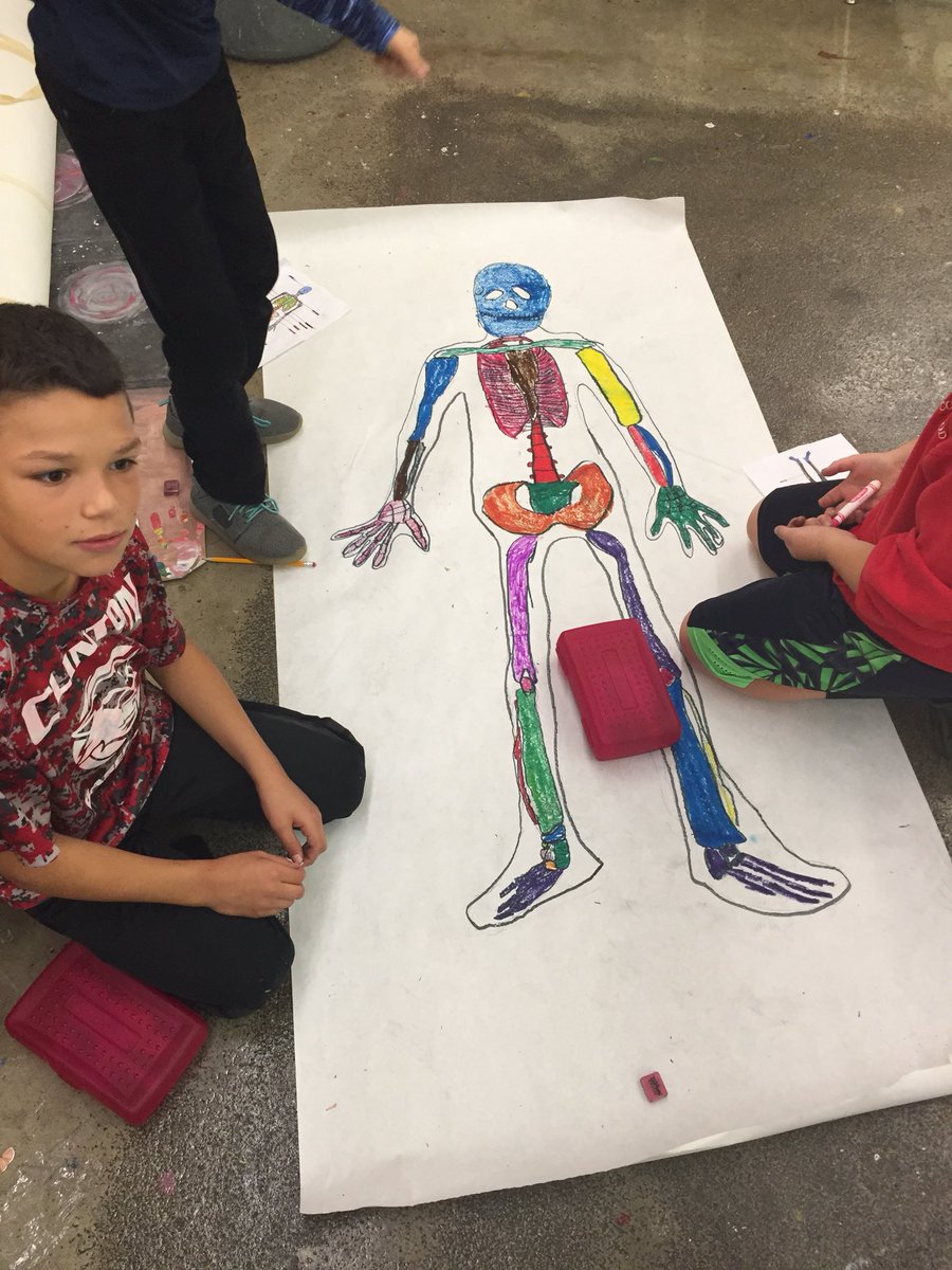 resykalski's tweet photo. 5th grade is learning the major bones and making life size skeletons. Spooky, sciencey, and artsy all at once! Practicing our contour lines, guidelines and proportions! #CougarProud #5thgrade #science #anatomy #art @JimBrewer_edu @ErikaStew2484 @MrBestulsClass https://t.co/fE7HrIIlRE