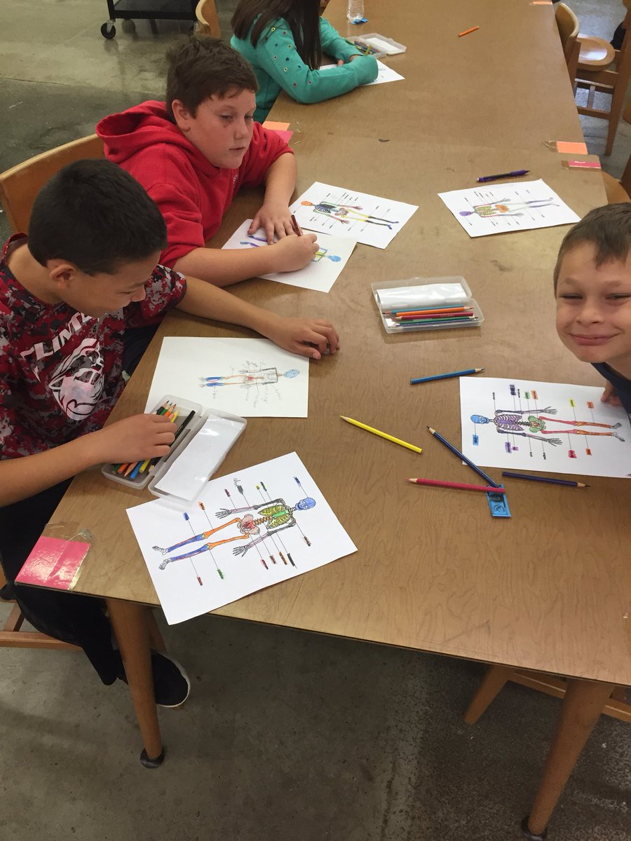 resykalski's tweet photo. 5th grade is learning the major bones and making life size skeletons. Spooky, sciencey, and artsy all at once! Practicing our contour lines, guidelines and proportions! #CougarProud #5thgrade #science #anatomy #art @JimBrewer_edu @ErikaStew2484 @MrBestulsClass https://t.co/fE7HrIIlRE