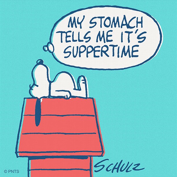 Snoopy's tweet photo. My stomach clock is going off 🍔 🍕 🍪 https://t.co/em2AugZXOA