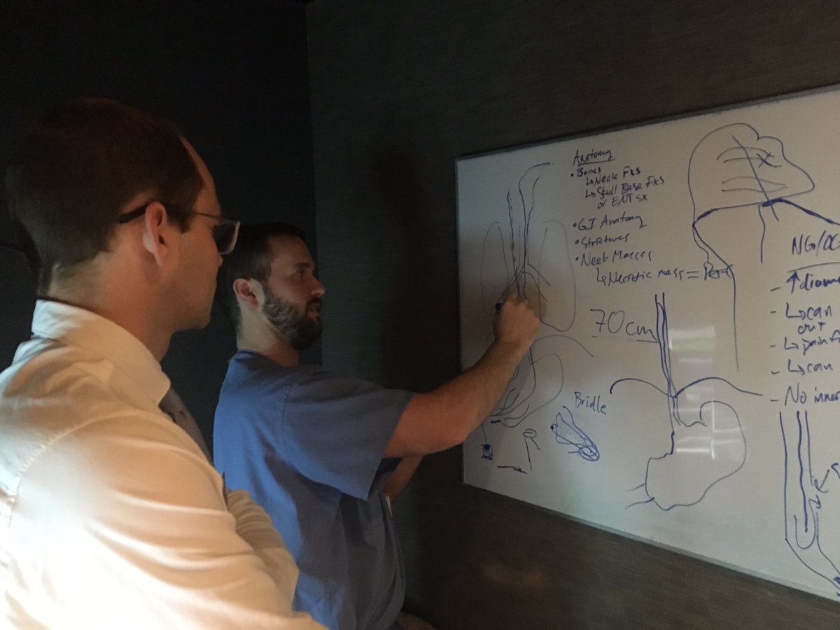 Collin Howser, MD (@collinhowsermd) on Twitter photo Nothing like some afternoon #radiology #teaching with @UofSCSOM visiting student Jimmy Epps! #mentorship #FutureRadRes #RadRes #FOAMed @VUMCradiology Nothing like some afternoon #radiology #teaching with @UofSCSOM visiting student Jimmy Epps! #mentorship #FutureRadRes #RadRes #FOAMed @VUMCradiology