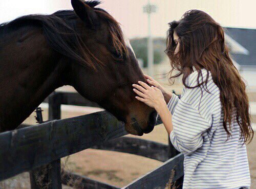 تقدر تقول آني من آلحب عايف
هي تجربه وحده ومليت منها

م عاد آبي كلمة آحبك وخايف
آكرر آلغلطات وآدفع ثمنها