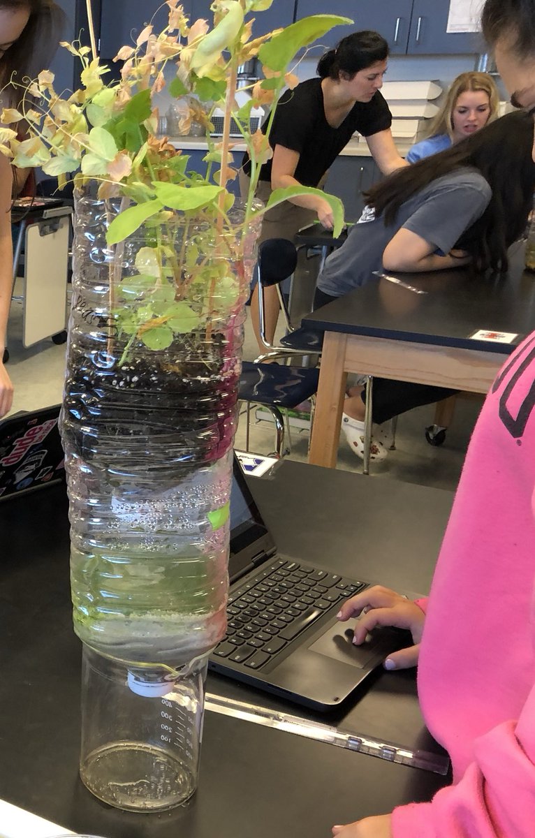 Mark Prosise tweet media