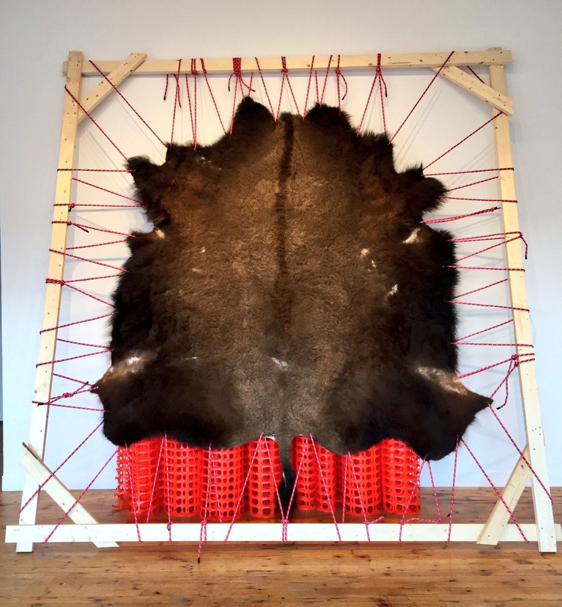 Join us tonight at Artspace for our curator’s talk, where we will be speaking about Amy Malbeuf’s work ‘Tensions’, currently on display at Artspace. The talk begins at 7pm and is free to attend. All welcome!