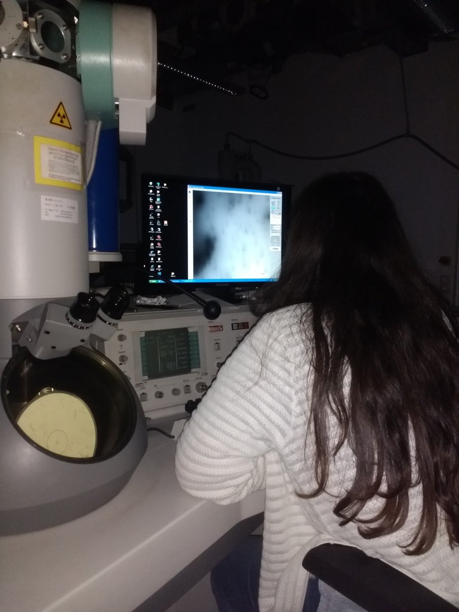 iGEM_Munich's tweet photo. Late at night, hunting phages with our transmission electron microscope ๐ฉโ๐ฌ #iGEM2018 #Phactory #iGEM #Science https://t.co/wxUvAKn1TZ