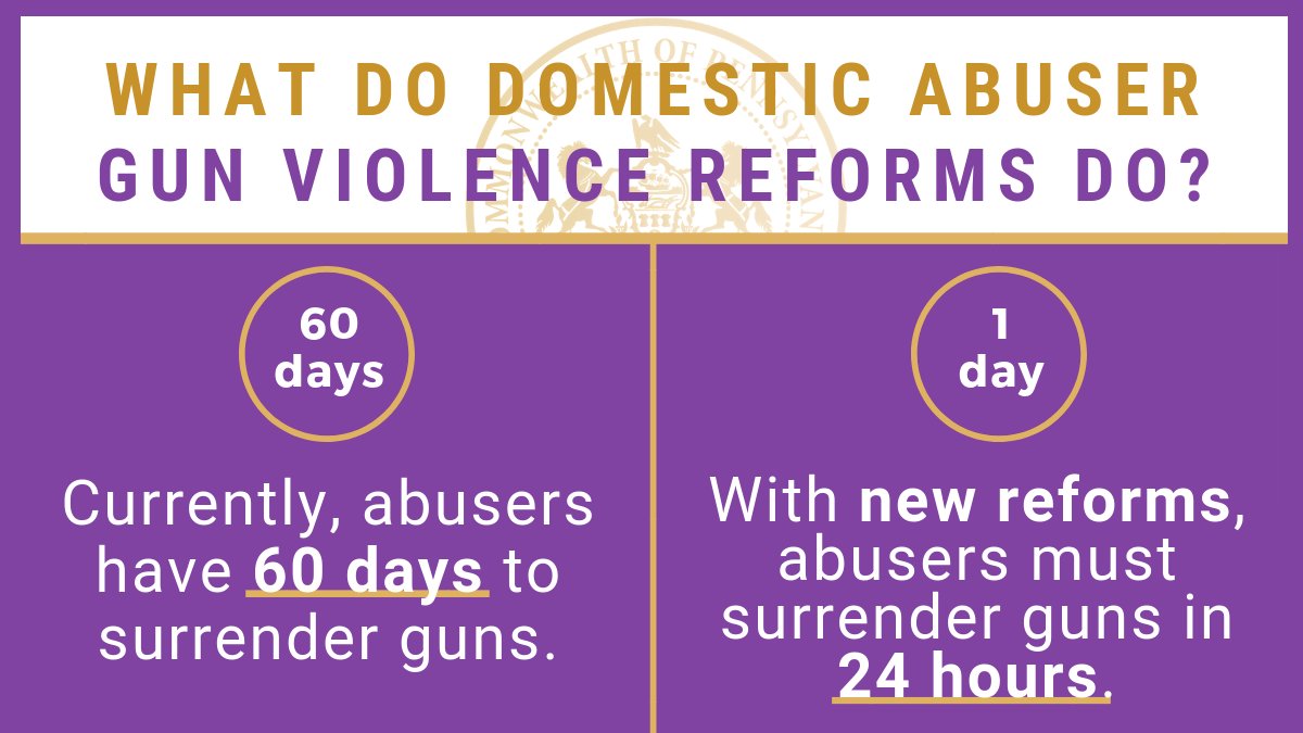 Graphic detailing provisions of domestic abuser gun violence reforms