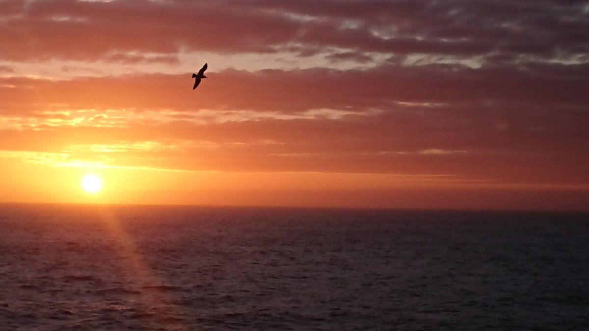 KatjaEnberg's tweet photo. Scenery is not bad, either #BIO325 #survey #RVGOSars #sunset https://t.co/prsYiWKHTX