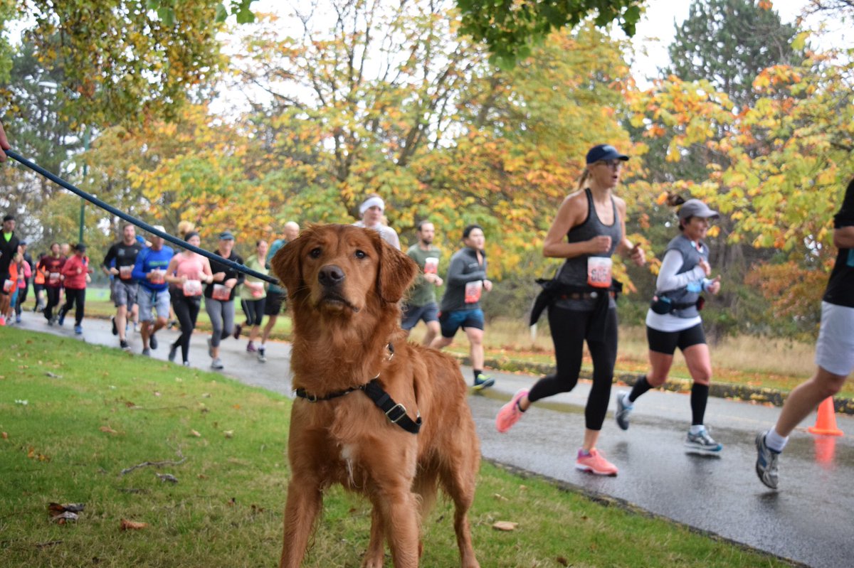 Run Vancouver Island tweet media