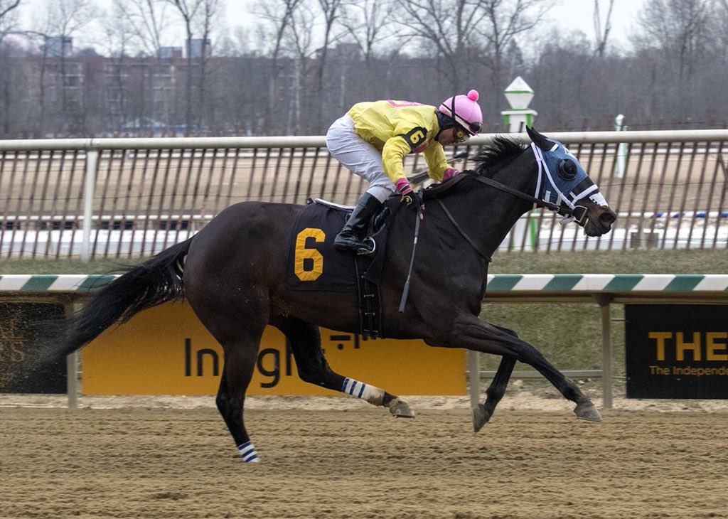 EliteRaceSales's tweet image. #ELiTEupdate🚨 SW/G3P BISHOP’S POND (by @HillnDaleFarm top-sire CURLIN) earns her 2nd Stakes win today in the Winter Melody S. @DelParkRacing for owners @dubbland @stuartmgrant and Bethlehem Stables. Heading to @keenelandsales Nov as Hip 696!