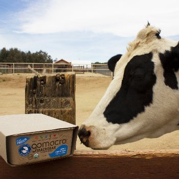 FarmSanctuary's tweet photo. As a show of gratitude to you for your willingness to go the distance for farm animals, @gomacro has provided its nutrition bars for enjoying at our #PlantPoweredRun & Walk for Farm Animals. Join us in #LosAngeles this weekend! https://t.co/xxhcKAt2Wu https://t.co/kmZe94tMcO