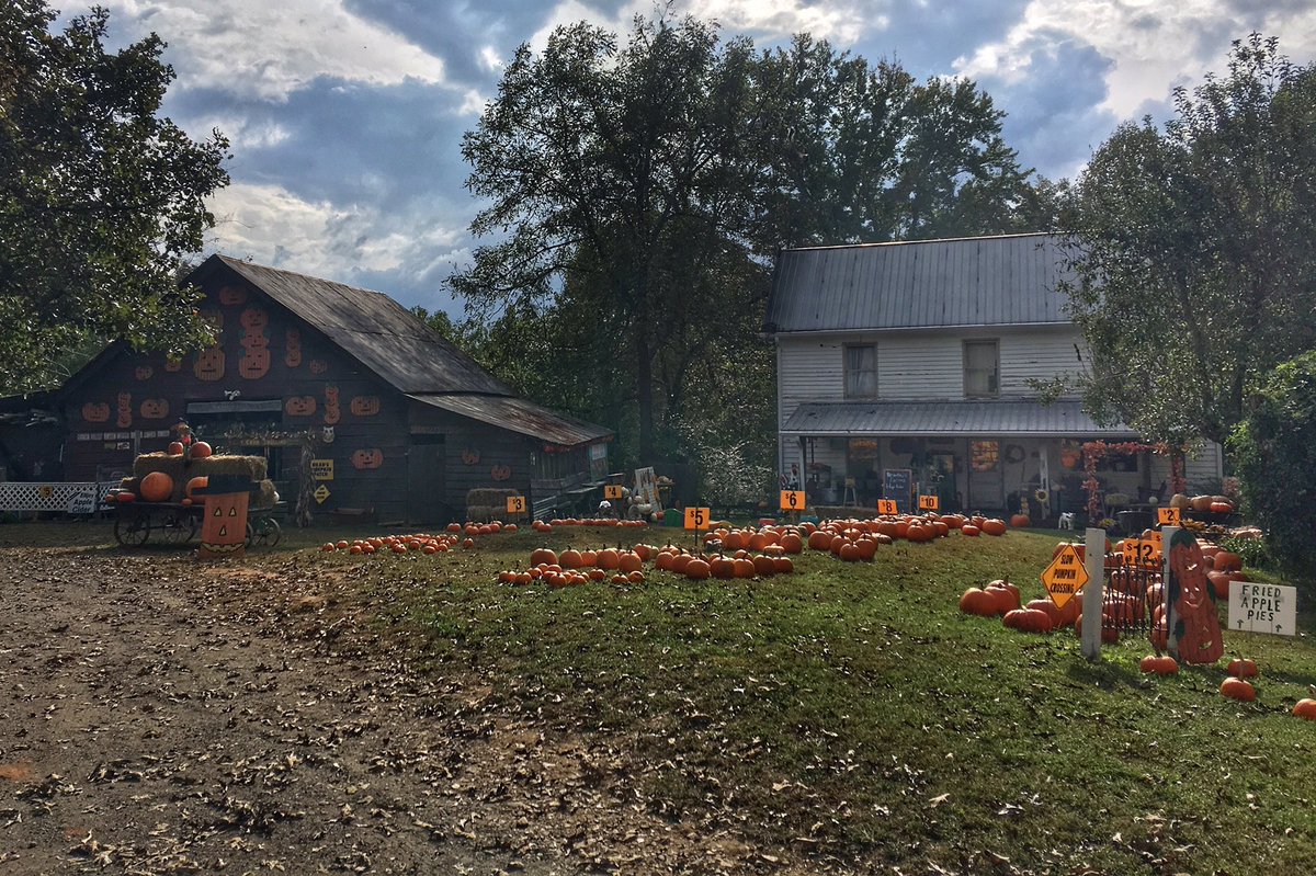 VisitDville's tweet photo. Have you visited one of our favorite little pumpkin patches yet? Bradley’s Pumpkin Patch is must stop for the entire family this Fall 🎃 #Dawsonville  #Pumpkins https://t.co/2mpVFwJ2rI