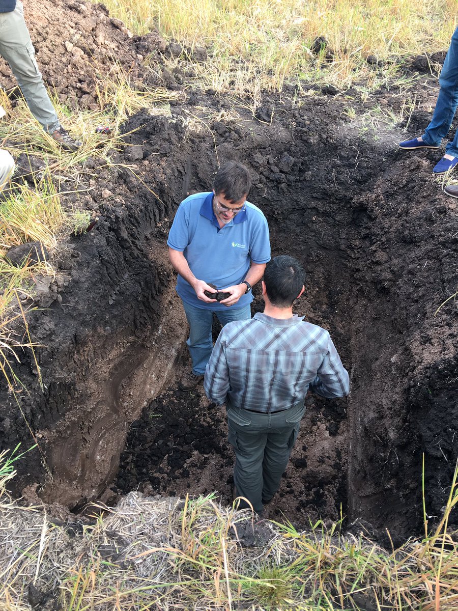 alexisg_1313's tweet photo. Recorriendo campos agrícolas con Martín Díaz Zorita en Dolores, intercambiando sobre suelos y fertilidad de cultivos. Mañana lo escuchamos en la jornada de @adp_uruguay. #ADPZONE18 https://t.co/9hG0MHdizR