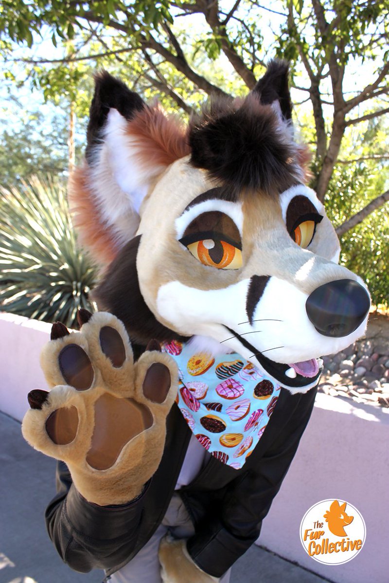 PrimalSuits's tweet photo. Clay the FoxYote is up for adoption! There will be a digitigrade bodysuit and feetpaws custom made for the winner! Listing closes 10/19 at 9PM MST https://t.co/1tqRbxbajQ @thedealersden #fursuit #forsale https://t.co/3ieKZgLq9X