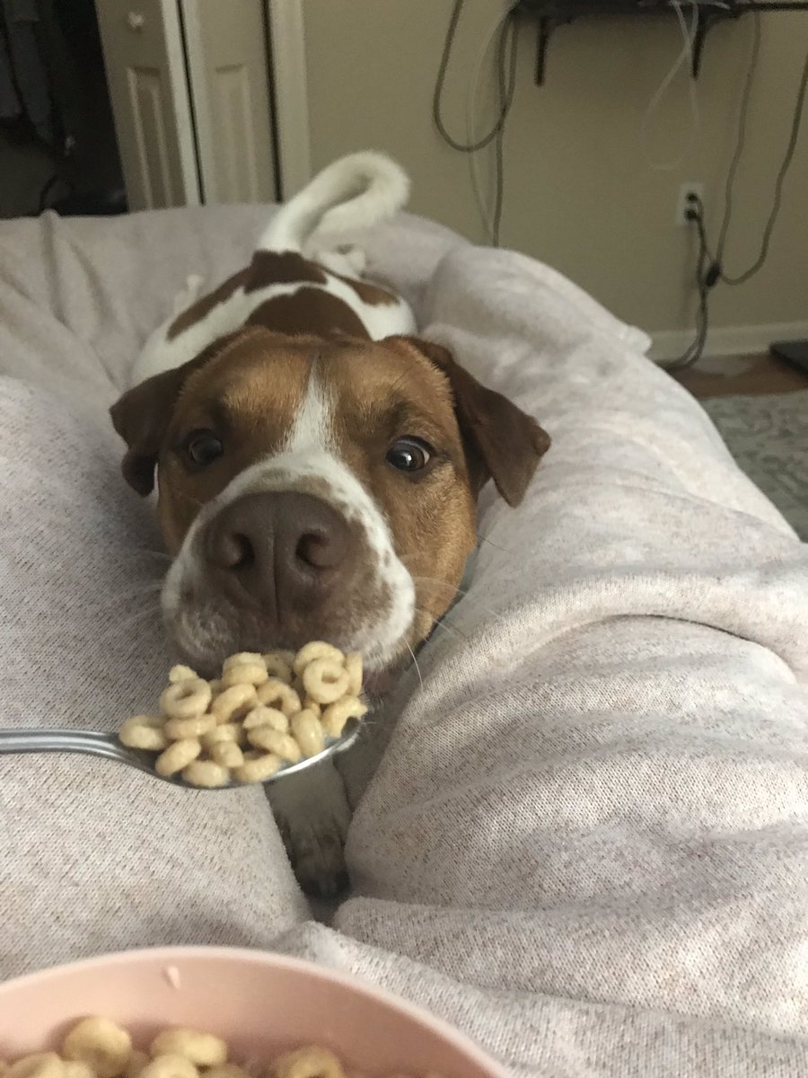 Lauren Castellana Laurenleeeeeee Twitter