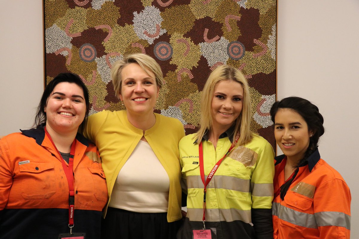 Tanya Plibersek tweet media