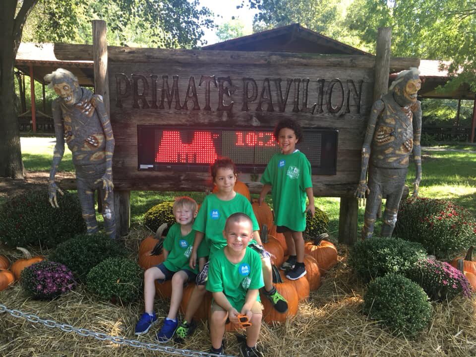 MarionMSTmagnet's tweet photo. Fantastic Fall Fun at the Memphis Zoo! Ms. Laneβs kindergarteners enjoyed a day full of exploring and observations! #raisingthebar inside and outside #patriotclassrooms #creatingthefuture #futurezoologists #ONEpatriotONEcommunity https://t.co/W1WM314C0P