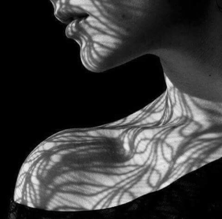 الآن يانجمي تغيب،
ولم يحن وقت الأفول؟
الآن والليل الجميل 
يريق ضوءك في الحقول؟
والزهر تحت الليل نشوان بمشرقك؟
والنهر والشطآن تضحك تحت أشجار النخيل
الآن تغرب؟ يالمأساة الجمال الذابل
يانجمي المأسور في كفّ الضباب الشامل
يافيلسوف الليل ياسرّ الوجود الذاهل
#نازك_الملائكة
#شعراء_مختارة