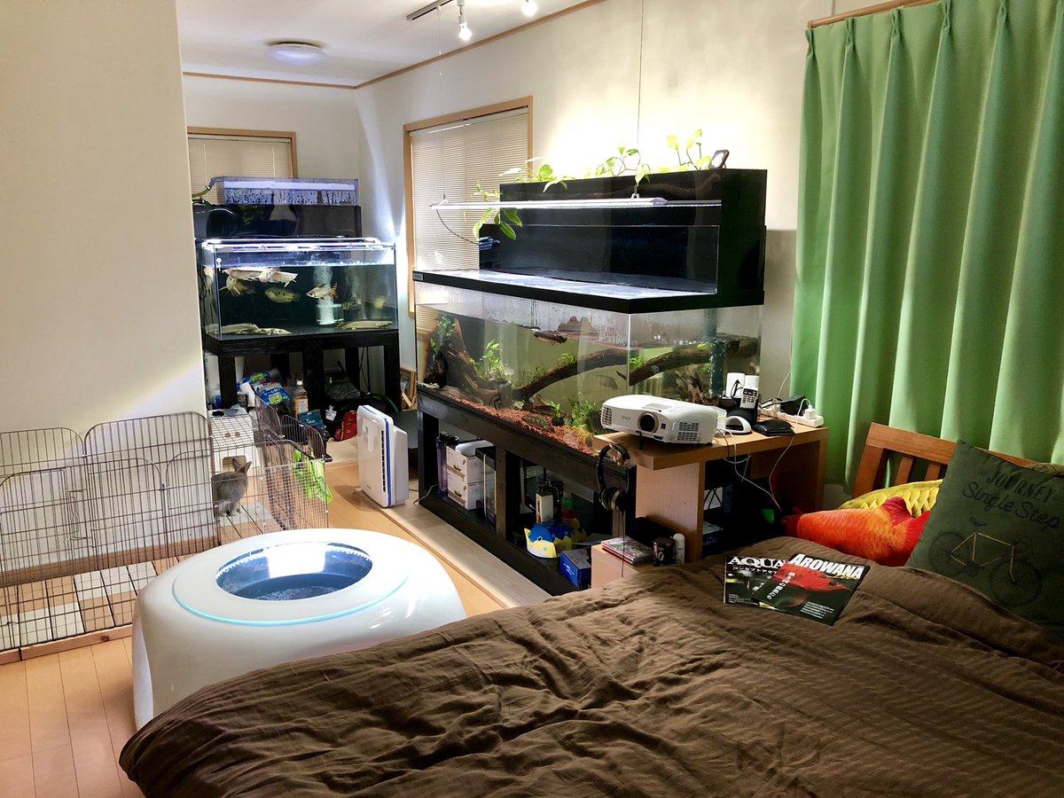 ポリプおじさん 60万円の水槽キタコレ バーズアイ水槽 宙sora Ufo 95 設置編 T Co 706nidxorn ポリプおじさん 60万円の水槽キタコレ バーズアイ水槽 宙sora Ufo 95 設置編 T Co 706nidxorn