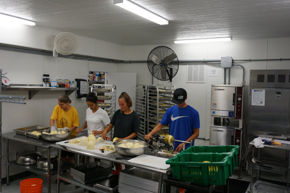 lt_doug's tweet photo. 2/ Ulu is low in fat, low glycemic, non-GMO, gluten-free, and an excellent source of fiber.  There's ulu hummus, ulu chocolate mousse.  I watched the HUPC staff in the ulu production kitchen and even planted a ulu tree.  ##HUPC #aina #pono #Farmtoschool #ltgovdougchin https://t.co/gyYOc6xwvV