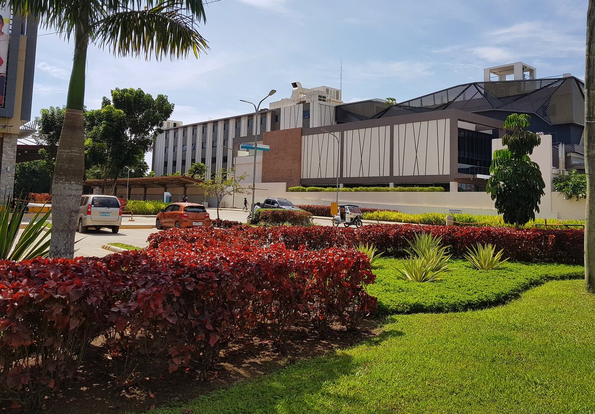 DreamYardTeam's tweet image. Red foliage garden border and landscaping.  #frontyard #landscape