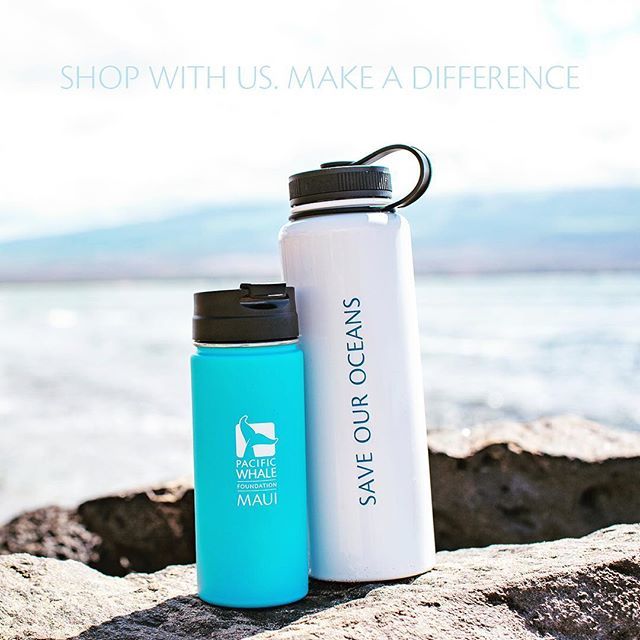 PacificWhale's tweet photo. Our Ocean Stores carry the latest #ecofriendly, local and sustainable products. #nomoreplastic #refuseorreuse https://t.co/o4lU3Bf1iY https://t.co/BcFaxfxxcy