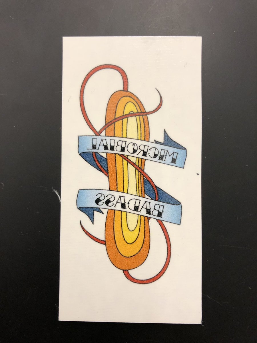 markowenmartin's tweet photo. Temporary tattoos by @vexedmuddler to encourage my #Bio350 #Micronauts to let their inner #MicrobialBadass shine on tomorrow’s exam. Wish my students luck? They are awesome. @univpugetsound @ASMicrobiology https://t.co/v3HeUL7Nln