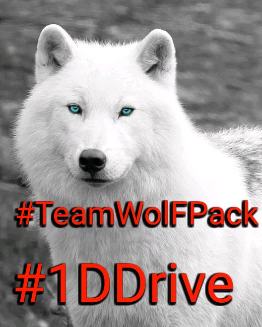 🇧🇷Louzival 2011 MGWV tweet media