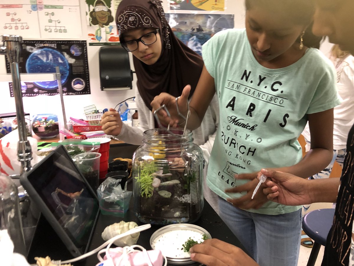 hillhollly's tweet photo. It’s Terrarium Day! My #KMS_GTScience classes are SO talented! @Killian_MS #killianmustangs LEAPScience #TerrariumTime https://t.co/UQ9SJiWdNb