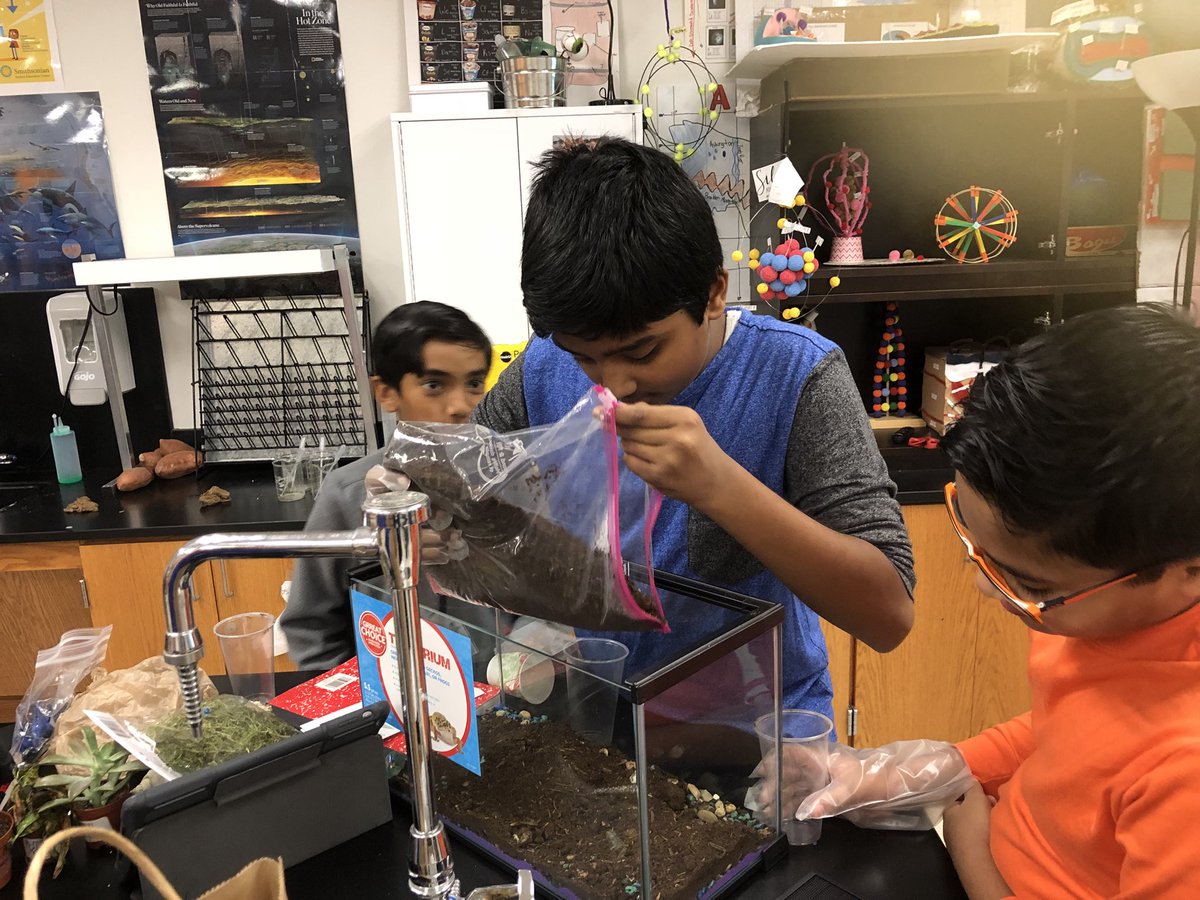hillhollly's tweet photo. It’s Terrarium Day! My #KMS_GTScience classes are SO talented! @Killian_MS #killianmustangs LEAPScience #TerrariumTime https://t.co/UQ9SJiWdNb