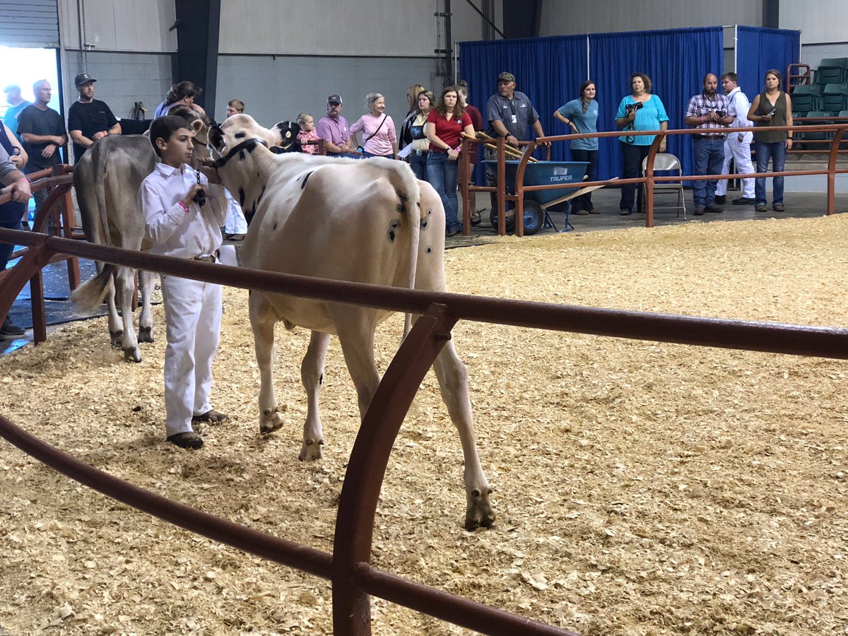 NHMS_FFA's tweet photo. So proud of our showmen from North Hall Middle! We wrapped up and awesome season this weekend. Showing livestock teaches some very valuable lessons, and these students have exemplified those over the course of 6 months. @northhallmiddle @Hall_Schools https://t.co/ScWXw4lV5C