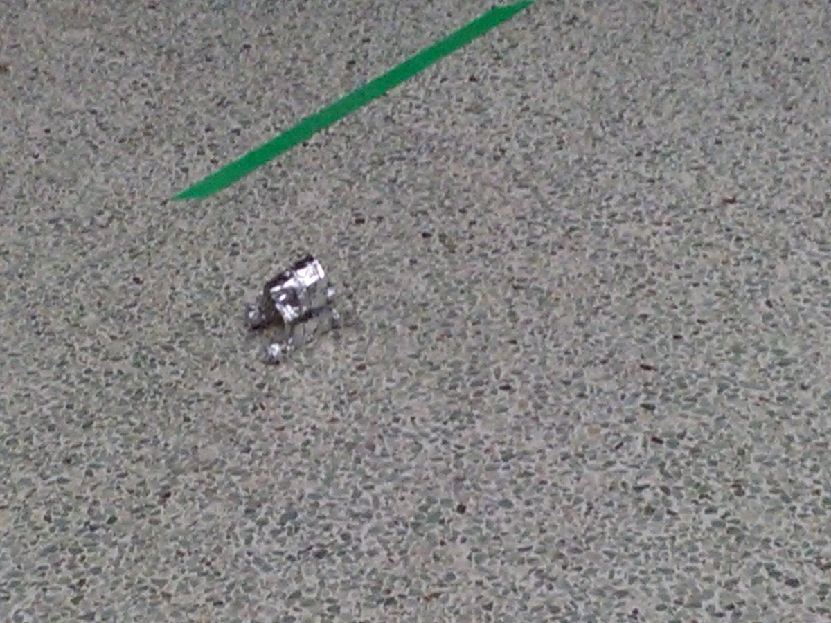 MissDahmer's tweet photo. Grade 8 Tin Foil Car design challenge! https://t.co/tuUDUoW5Jx
