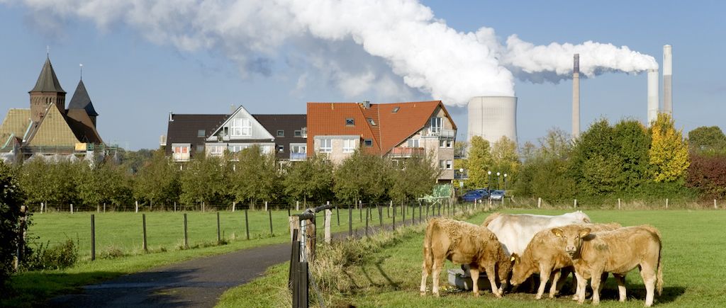 TheCounter's tweet photo. By 2050, the top 5 meat companies combined will be responsible more than 80 percent of greenhouse gas emissions. Only government action can mitigate this https://t.co/xKbJnJRsum https://t.co/T6ZJ6fuwZo