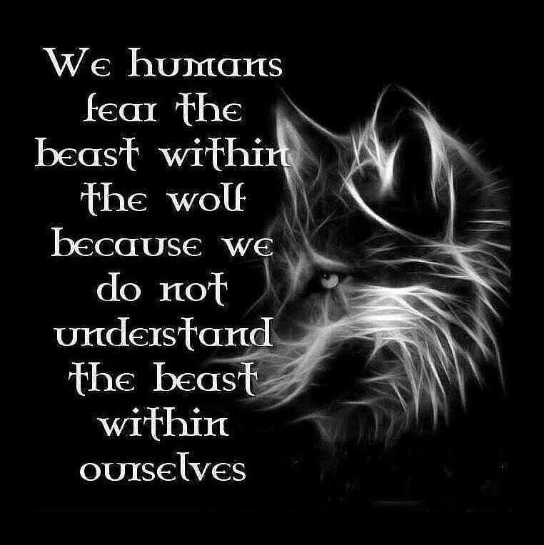 When the darkness is around you, let your wolf hunt. It will take its fill whether you fight it or not, but then it will sleep peacefully and contented for a time and the moon will shine brighter when it does. #mentalhealthawareness #knowyourwolf 🐺 🌖