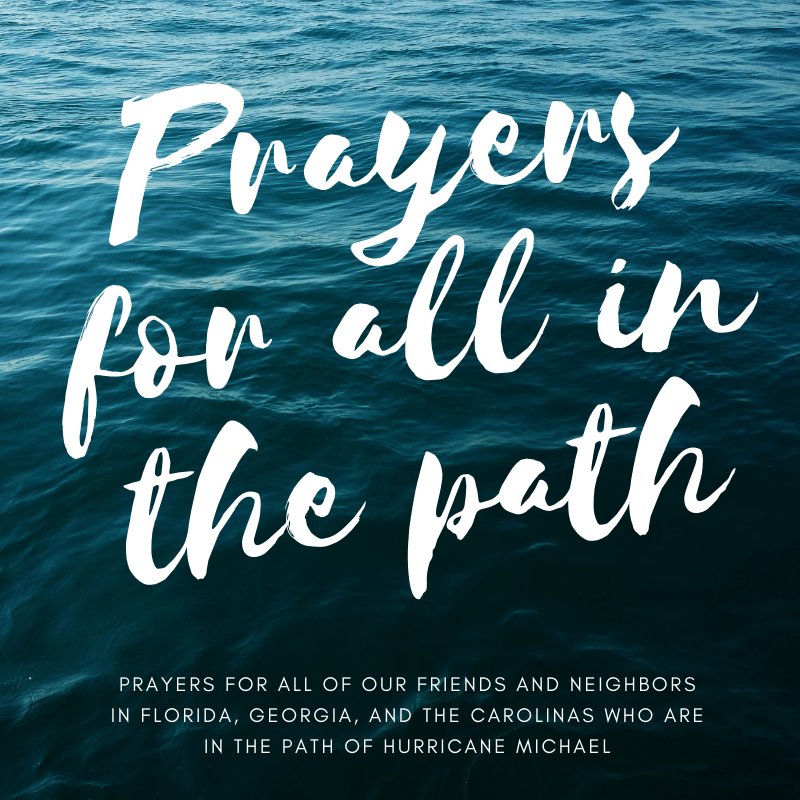 Curaport tweet media