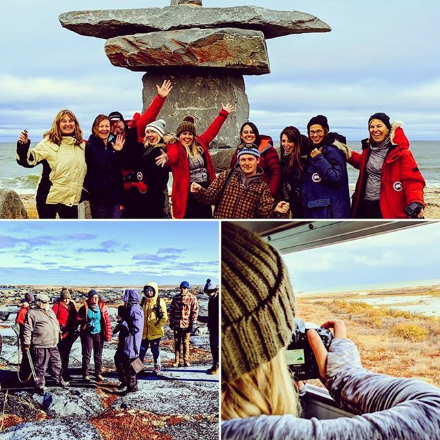 cathysenecal's tweet photo. Love wildlife and wild places? Go! @churchillnsc #learningvacation Lords of the Arctic. https://t.co/ddnKYcbbHT https://t.co/QYxmlTwWJ4