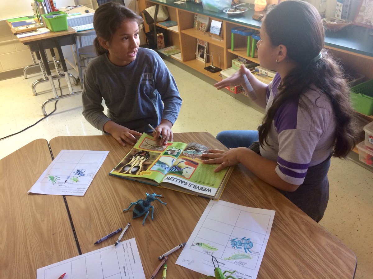 Lynbrook ES-FCPS (@LynbrookES_FCPS) | Twitter