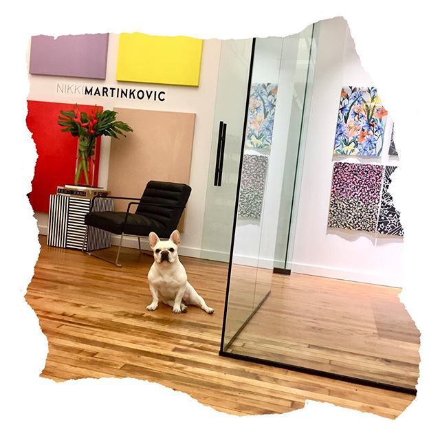 nm_designstudio's tweet photo. Meet the boss - @picklethefrenchie - she keeps us in line #nikkimartinkovicprints #printparty #nikkimartinkovicdesignstudio #studioviews #bosslady https://t.co/Muqm1pTuNF https://t.co/JxUyrlEg0u