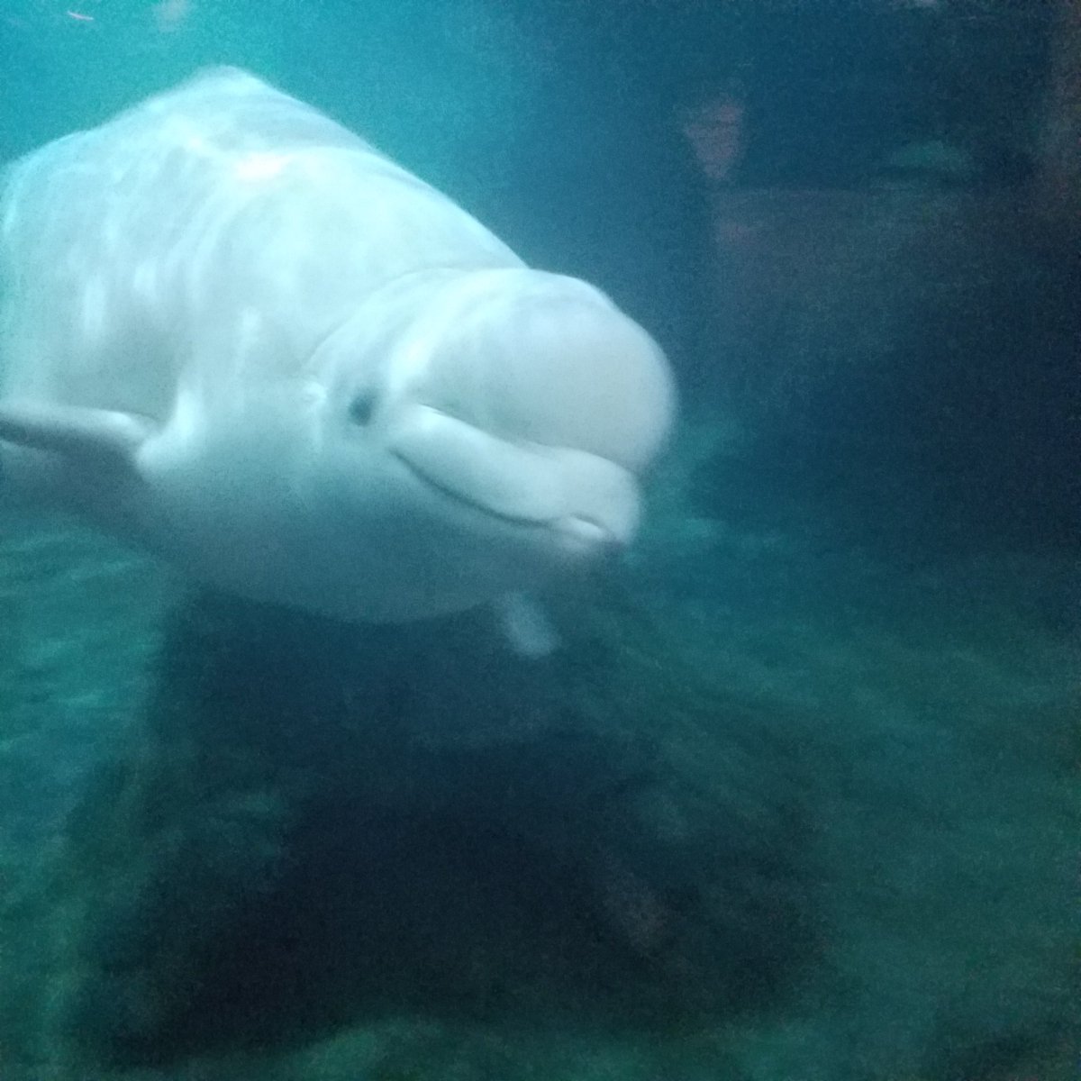 Look who popped in to see the closing party for <a href="/P20payments/">P20 - Payments 20</a>