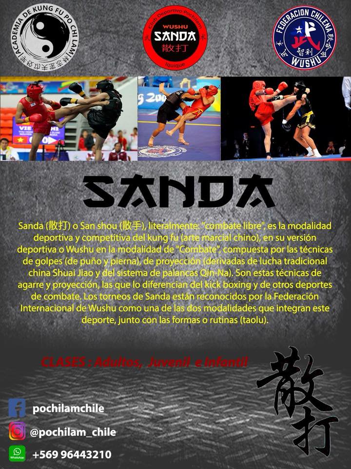 In Chile, and wondering how you can learn Sanda 🥊 ? Here's your chance:  facebook.com/SANDAPOCHILAM/… <a href="/Fedwushuchile/">Fed Chilena de Wushu</a> #sanda #wushu #kungfu