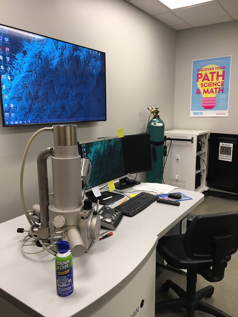 wfw_sem's tweet image. Excited to see what’s happening in science in our state! @ReadyWA #WAScience4All #STEM