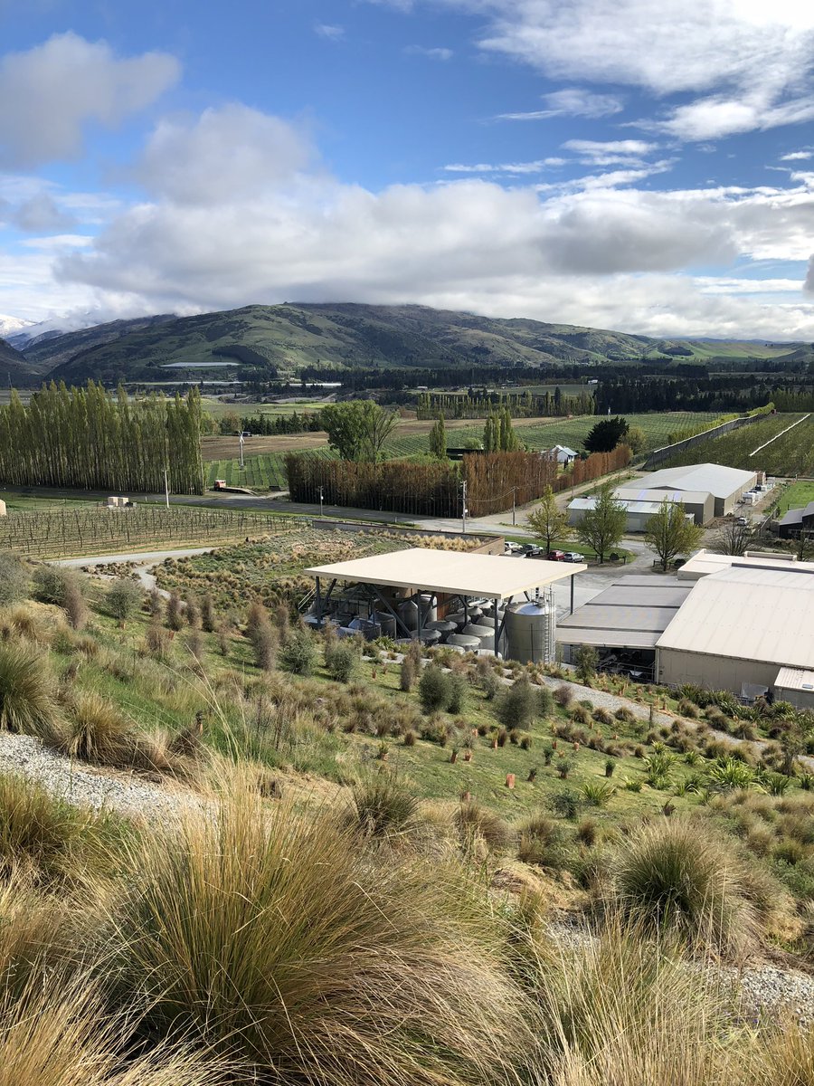 vinomofo tweet media