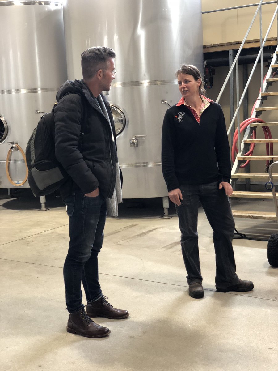 vinomofo tweet media