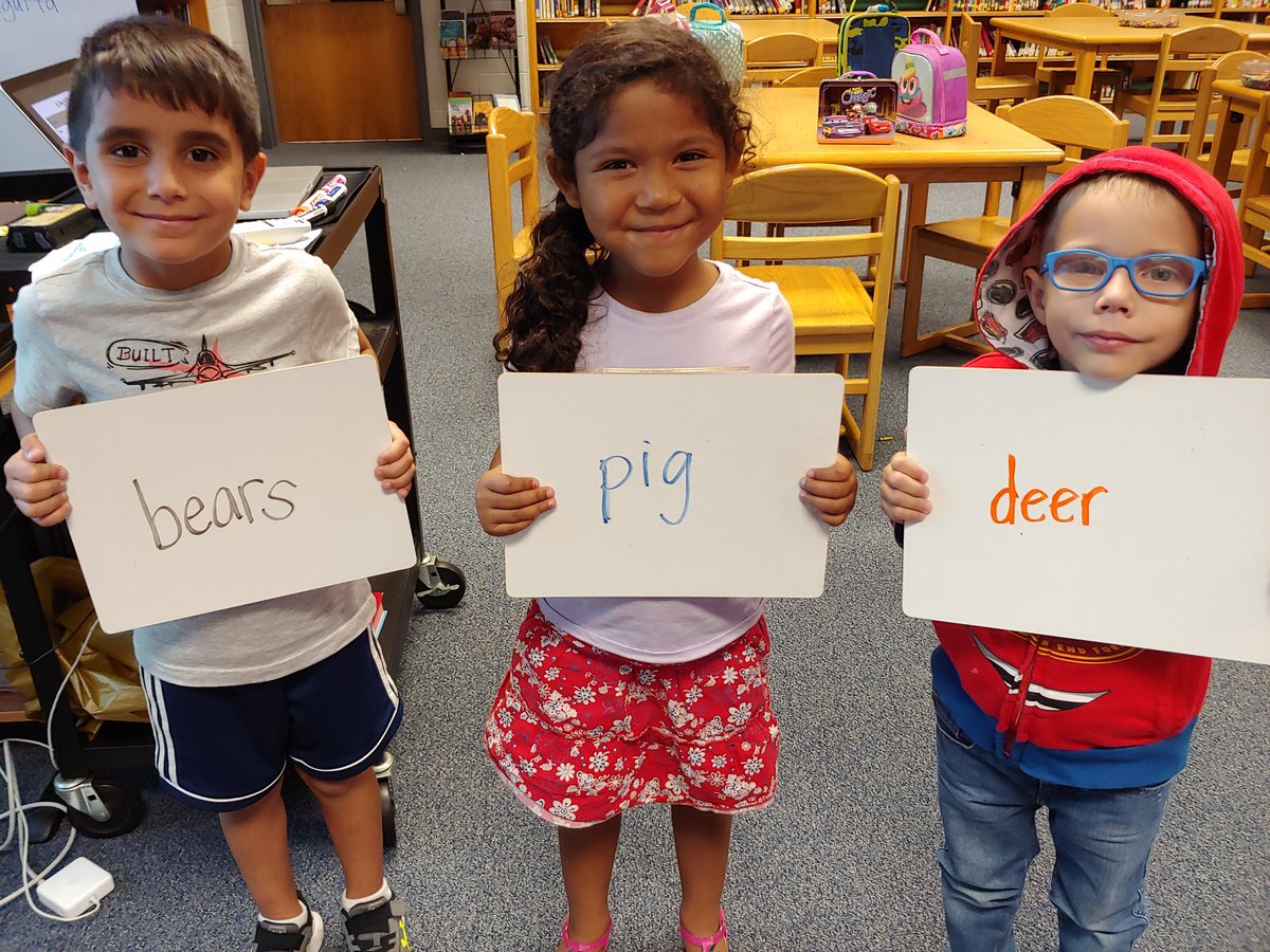 Lisa Schiffres tweet media