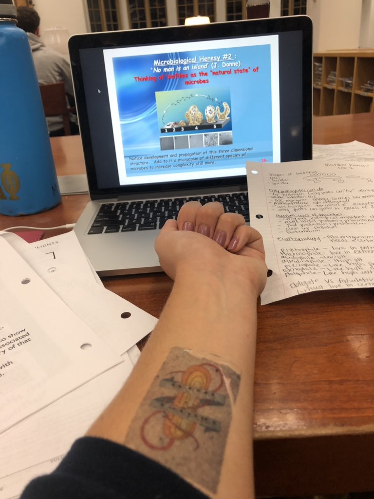 mcgraw2's tweet photo. My sweatshirt may have ruined my microbial tattoo, but I still know what it is and that is all that matters!!! Hoping it helps me understand all things microbial as I study for the exam tomorrow!! #bio350 @markowenmartin https://t.co/rN2uatqT2r